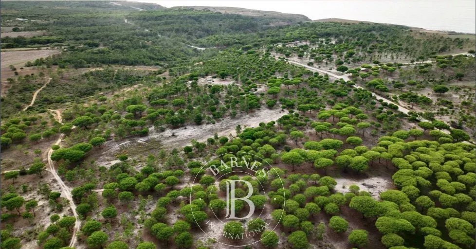 Azienda agricola a Sesimbra (Castelo), Setúbal Municipality, Portogallo 4 - 14473565