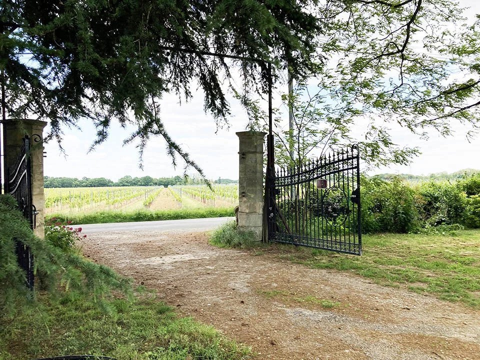 Country House in Mortagne-sur-Gironde, Nouvelle-Aquitaine, France 5 - 12958341