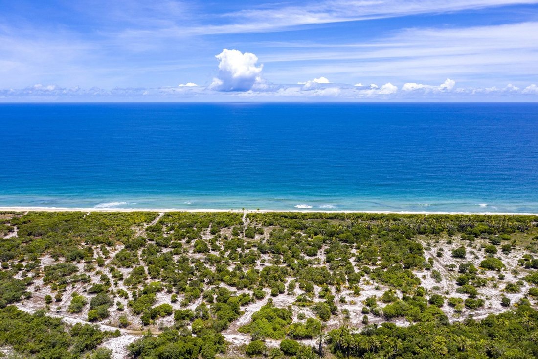 Land in Uruçuca, State of Bahia, Brazil 4 - 11100566