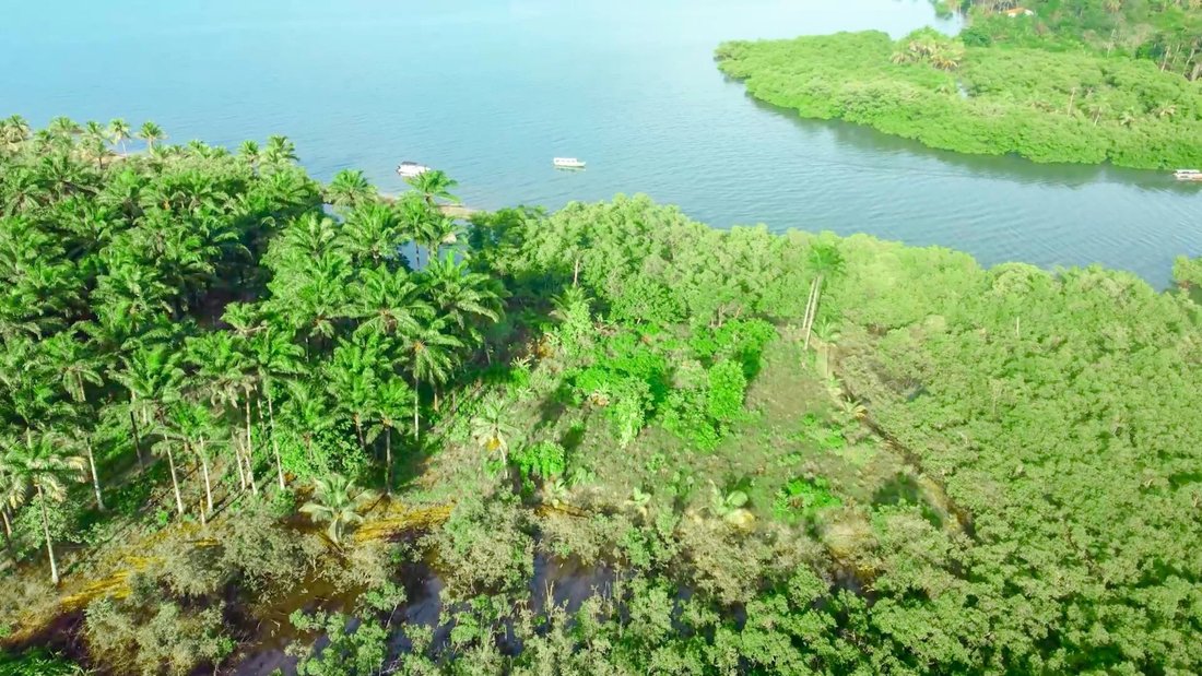 Land in Maraú, Igrapiúna, Brazil 1 - 15188671
