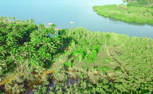 Land in Maraú, Igrapiúna, Brazil 1