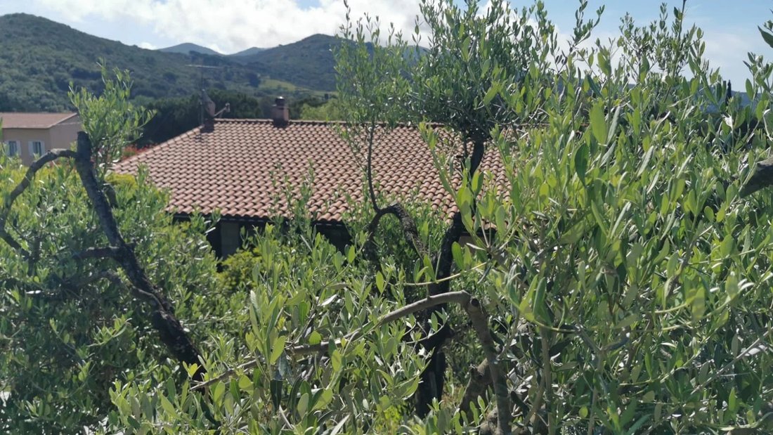 Villa in Marina di Campo, Tuscany, Italy 4 - 13979294