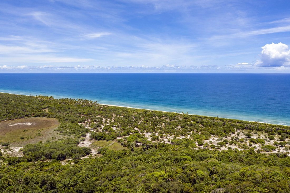 Land in Uruçuca, State of Bahia, Brazil 1 - 11100566