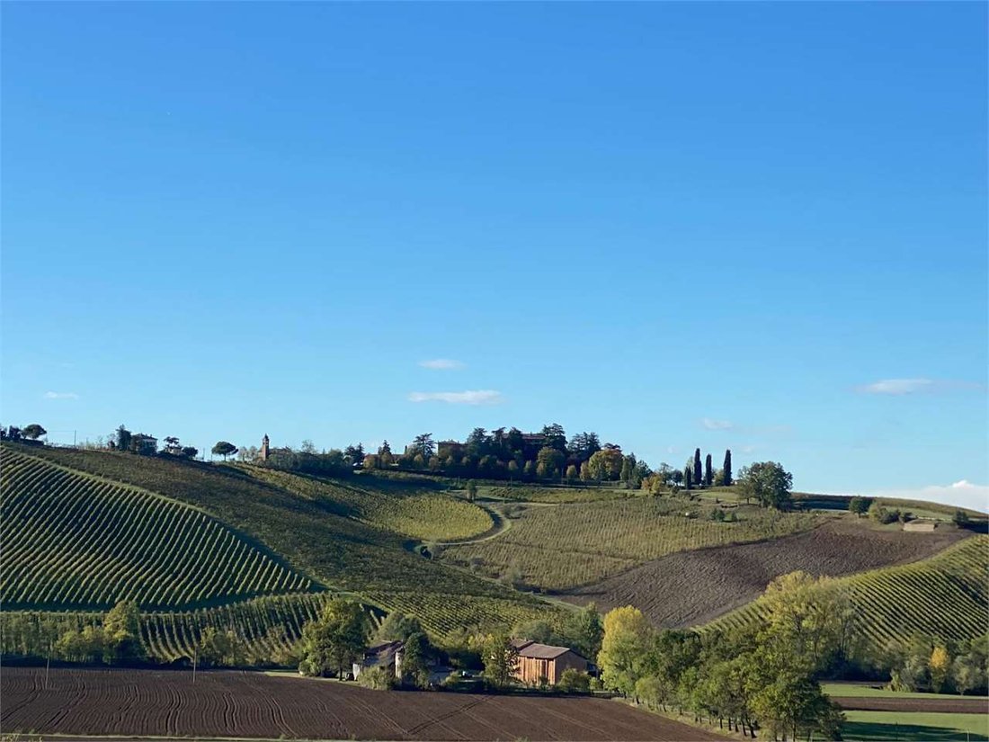Land in Cavalli - Duomo, Piacenza, Italy 2 - 14373909