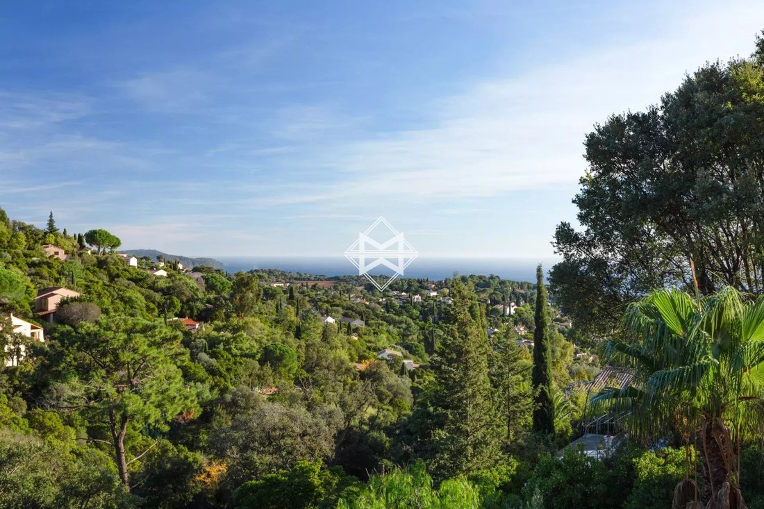 Villa in La Croix-Valmer, Provence-Alpes-Côte d'Azur, France 2 - 13650165