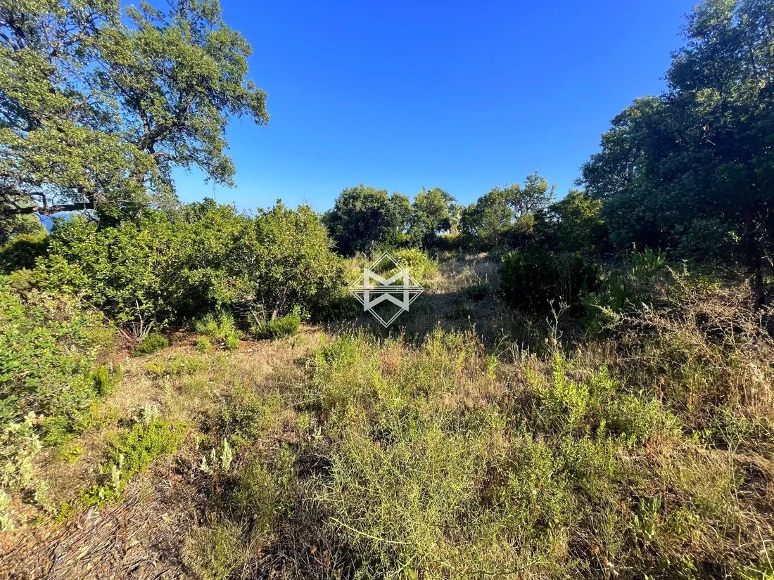 Land in Les Issambres, Roquebrune-sur-Argens, France 5 - 12141843