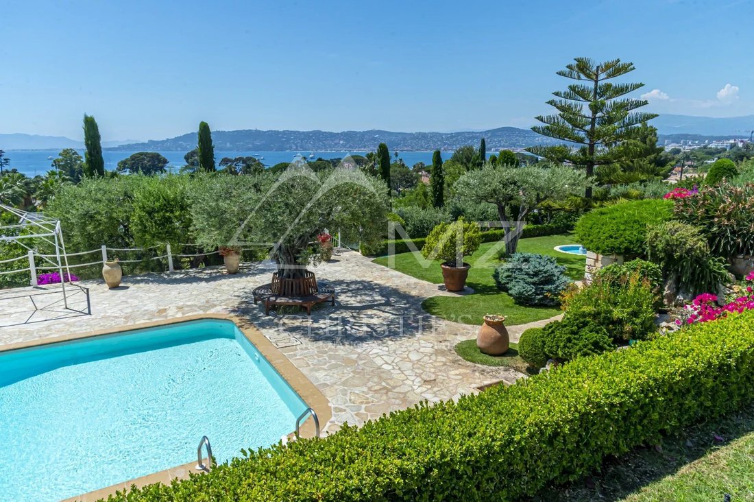 Villa in Antibes, Provence-Alpes-Côte d'Azur, France 5 - 13858043