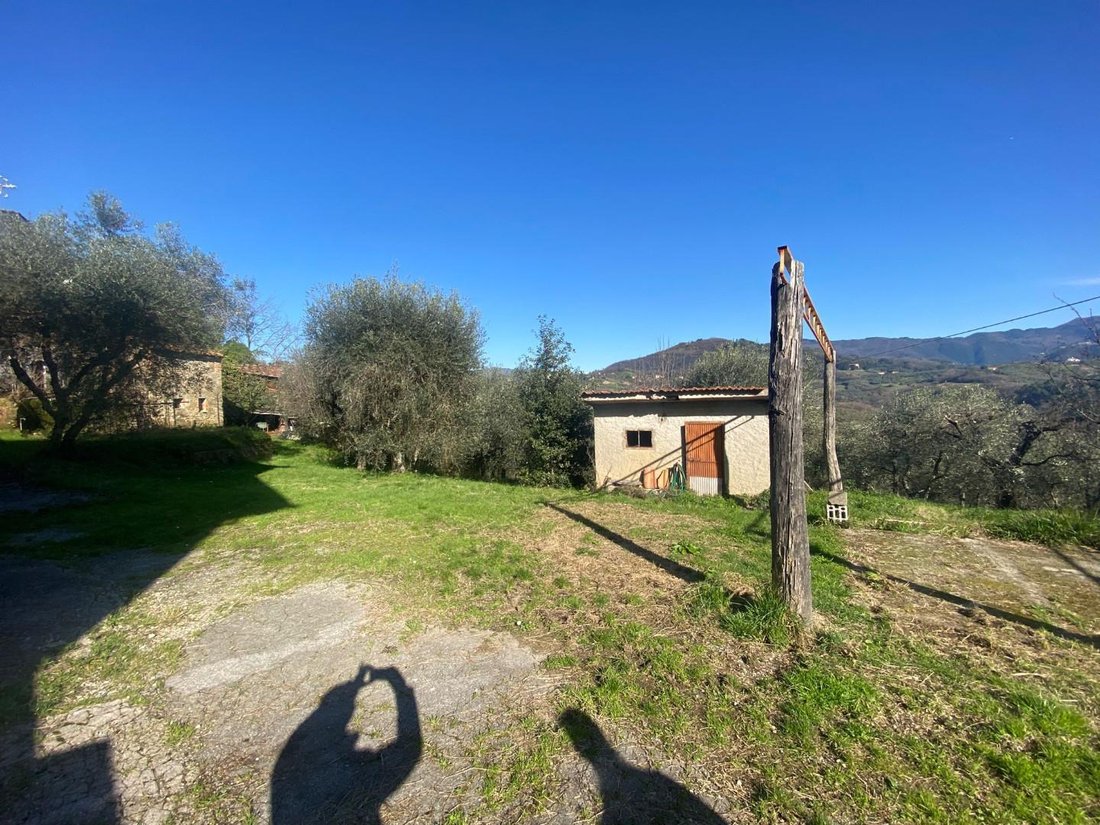 Altro a Lucca, Toscana, Italia 5 - 15183539