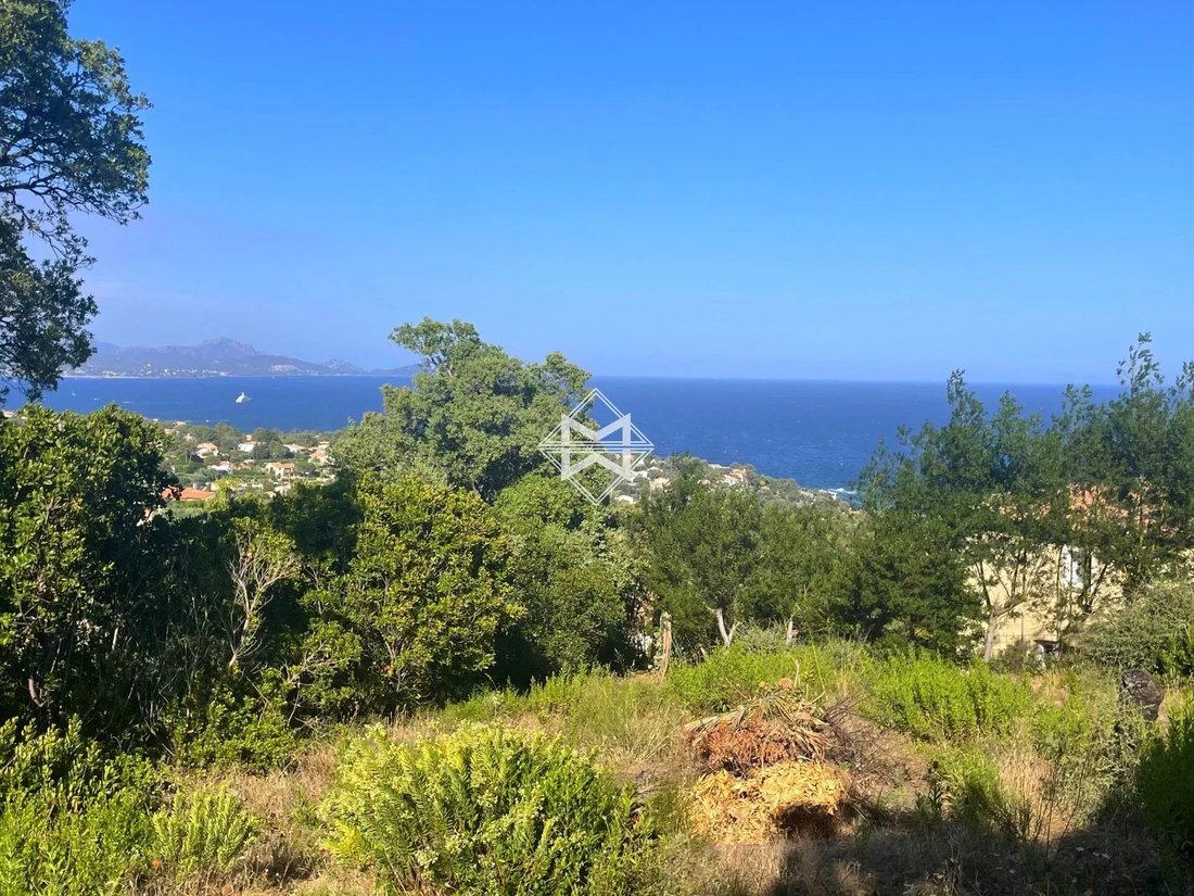 Land in Les Issambres, Roquebrune-sur-Argens, France 3 - 12141843