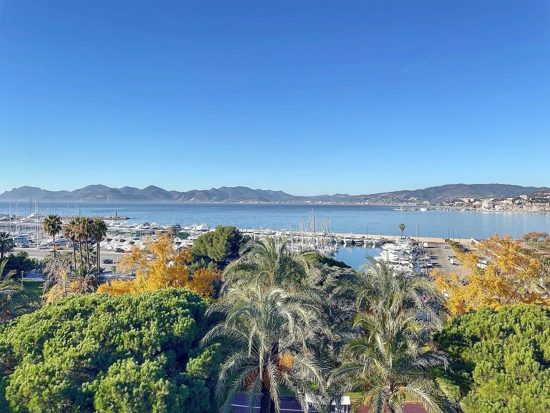Apartment in Cannes, Provence-Alpes-Côte d'Azur, France 1 - 11974616