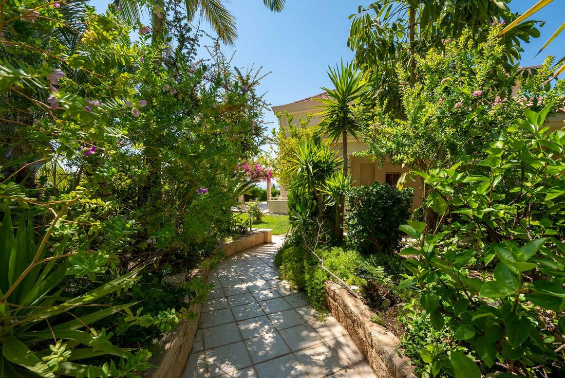 House in Agios Tychon, Limassol, Cyprus 5 - 15184137