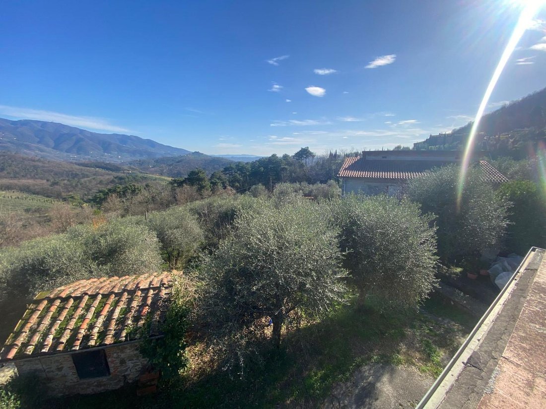 Altro a Lucca, Toscana, Italia 4 - 15183539