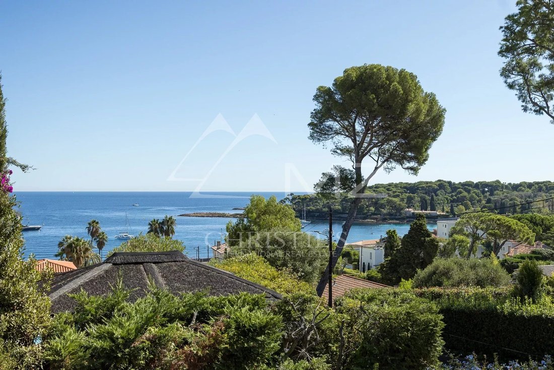 Villa in Antibes, Provence-Alpes-Côte d'Azur, France 1 - 11000684
