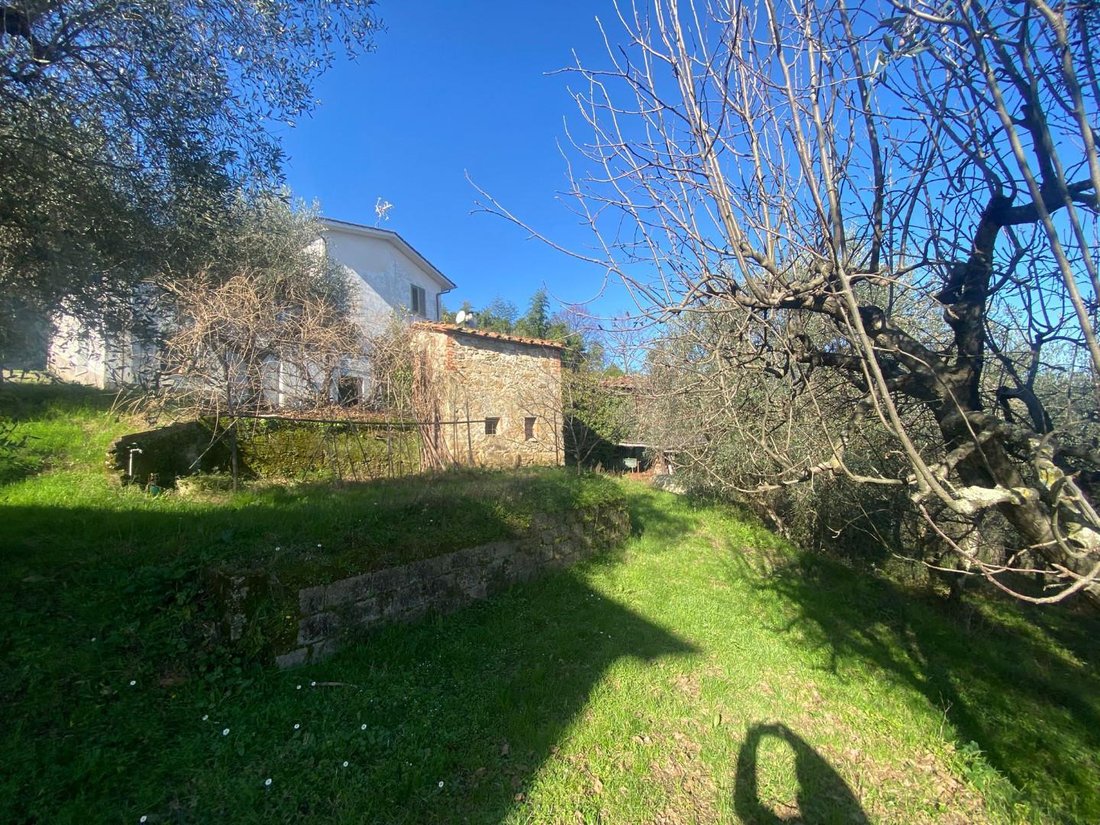 Altro a Lucca, Toscana, Italia 3 - 15183539