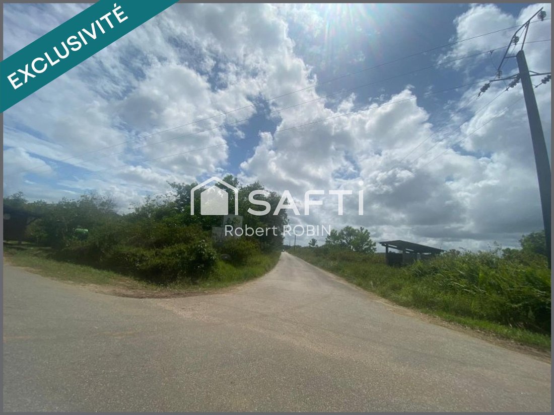 Land in France 1 - 13054628