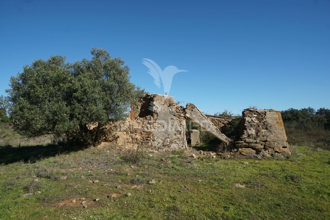 Farm Ranch in Santiago do Cacem, Santa Cruz e Sao Bartolomeu da Serra, Setubal, Portugal 1 - 15185242