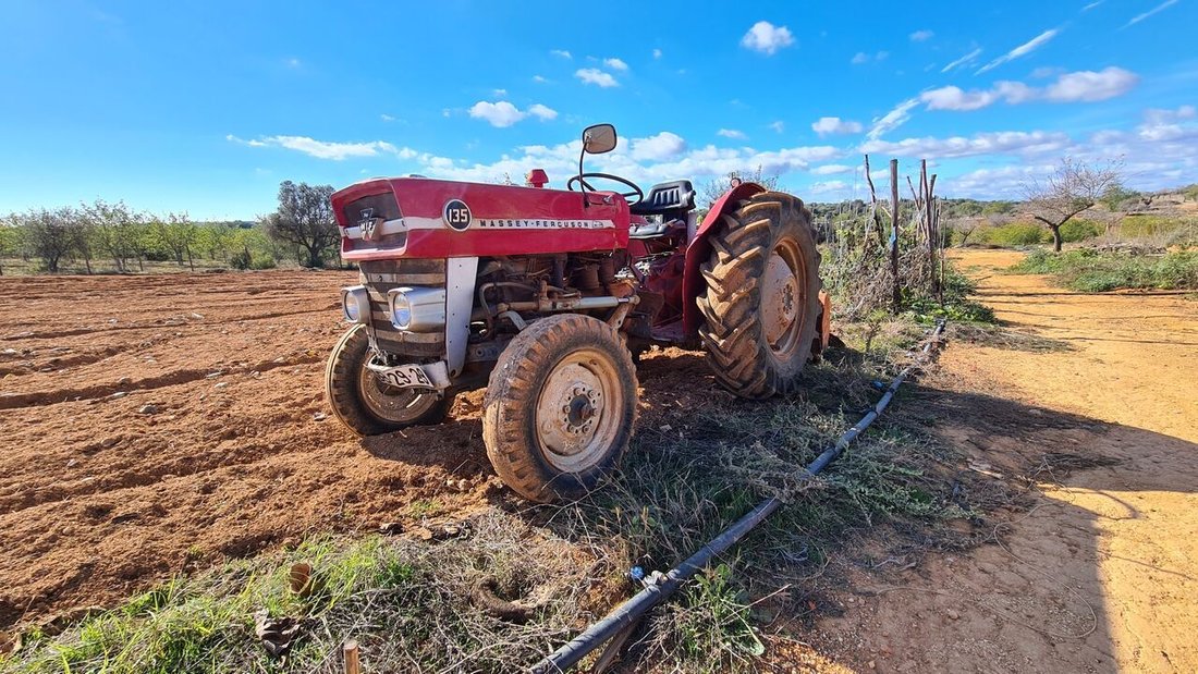 Land in Guia, Algarve, Portugal 3 - 15185122