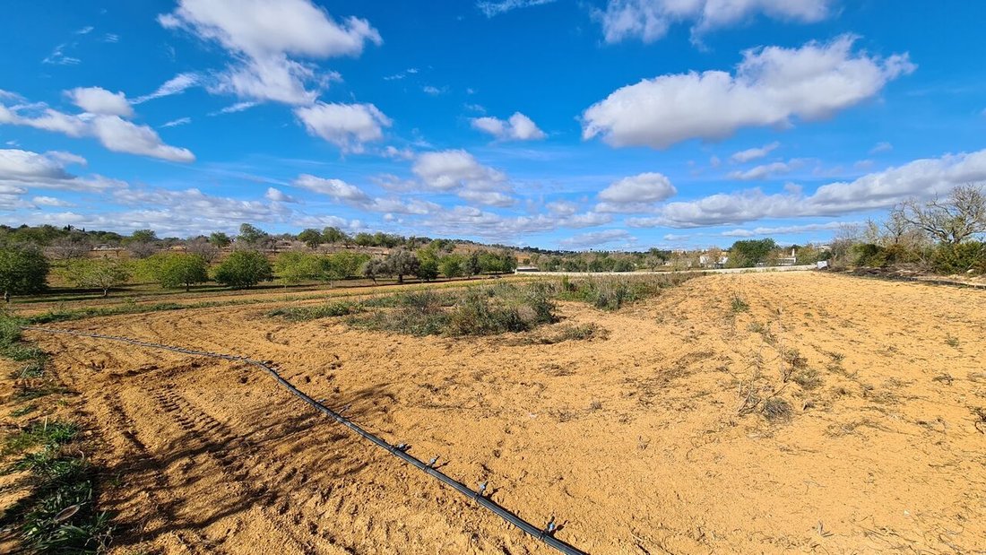Land in Guia, Algarve, Portugal 2 - 15185122