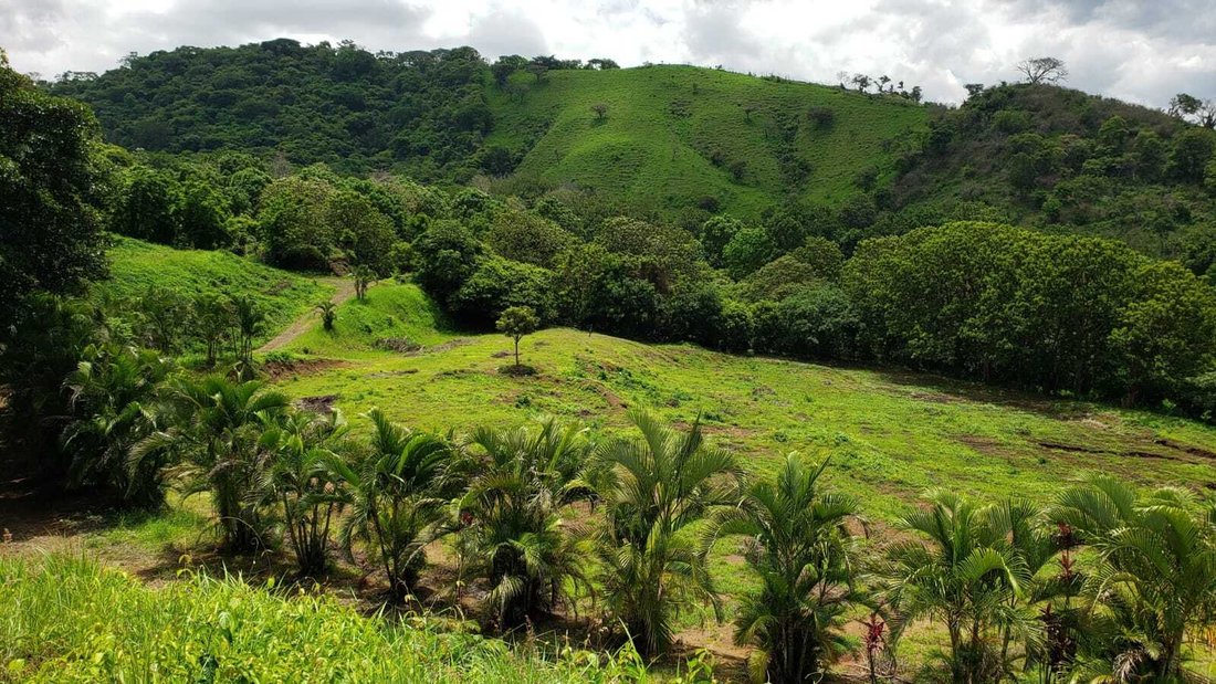 Finca in Atenas, Alajuela Province, Costa Rica 5 - 15188871