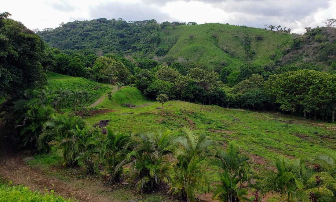 Finca in Atenas, Alajuela Province, Costa Rica 3 - 15188871