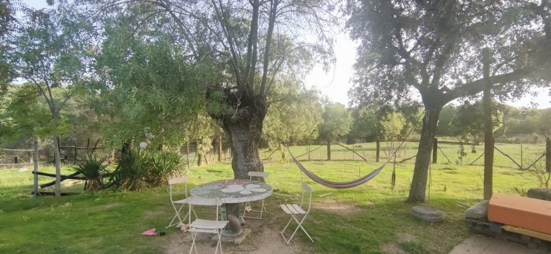 Country House in Galapagar, Community of Madrid, Spain 5 - 15192113