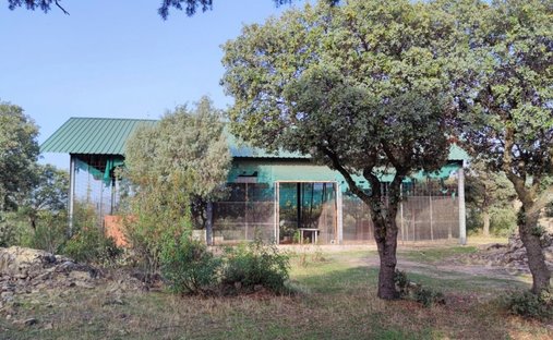 Land in Galapagar, Community of Madrid, Spain 1