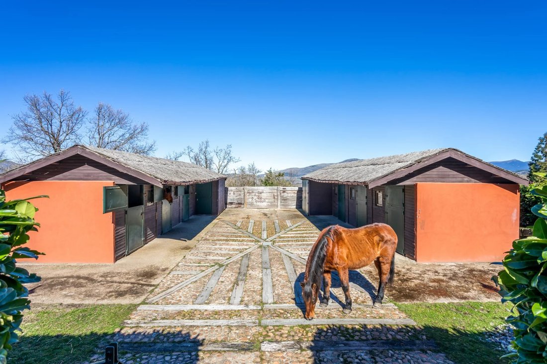 Estate in El Espinar, Castile and Leon, Spain 3 - 14284870