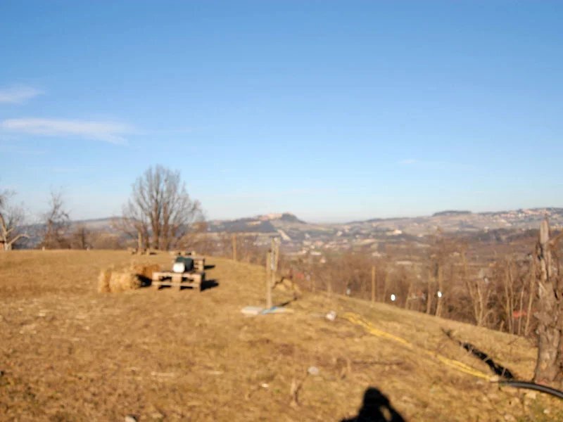 Farm Ranch in Lequio Tanaro, Piedmont, Italy 4 - 12850286