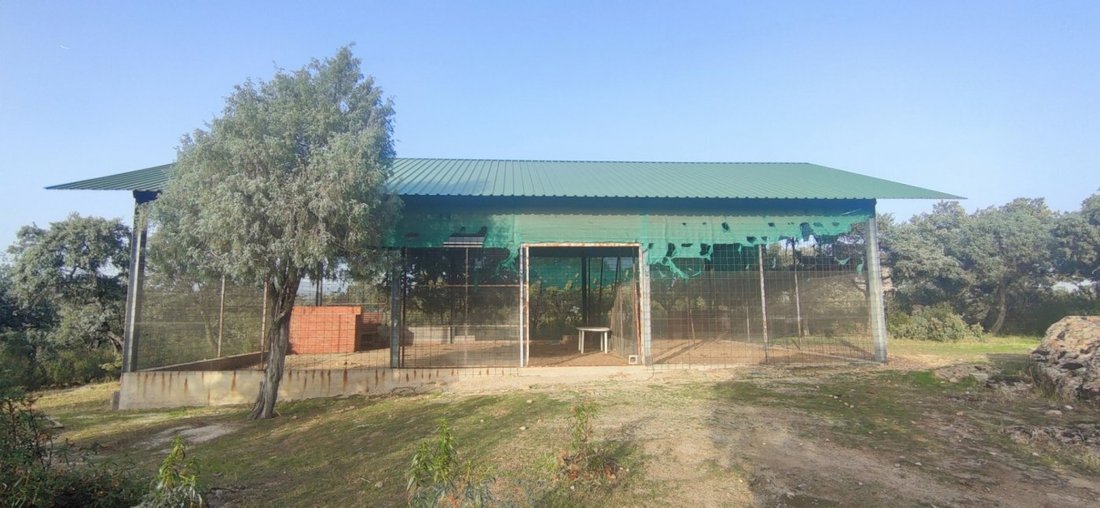 Terreno a Galapagar, Madrid, Spagna 2 - 15192069