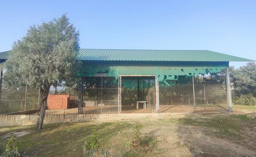 Land in Galapagar, Comunidad de Madrid, Spain 1