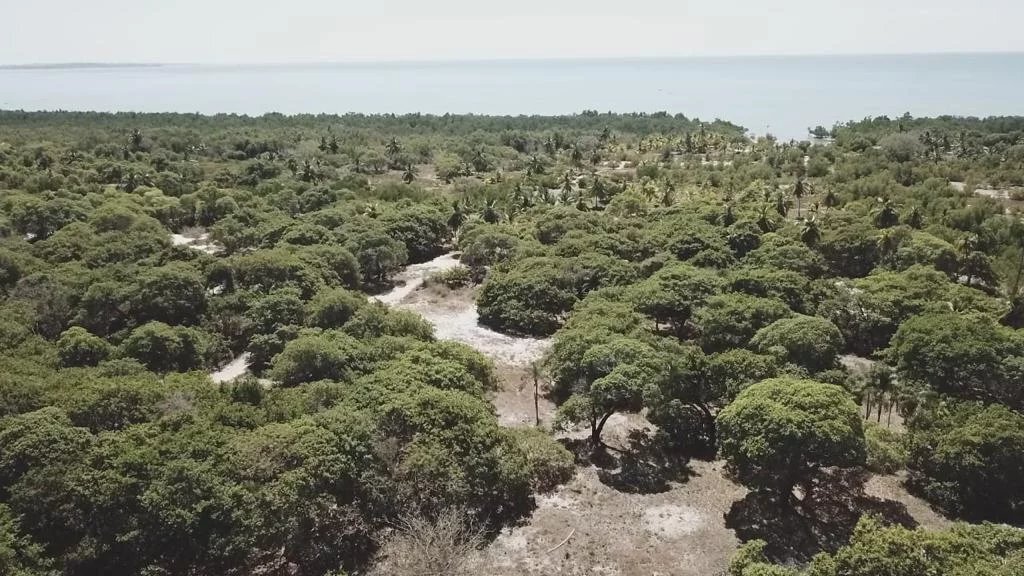 Land in Ampasindava, Diana, Madagascar 4 - 12432190