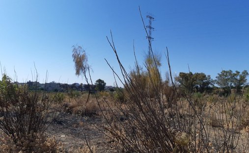 Burguillos, Andalucía, España 1