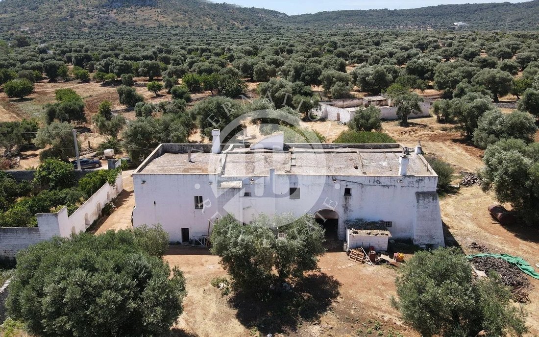 Villa in Selva di Fasano, Apulia, Italy 5 - 14168401
