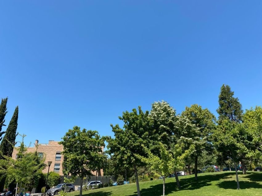 Wohnung in Hortaleza, Madrid, Spanien 4 - 13098983