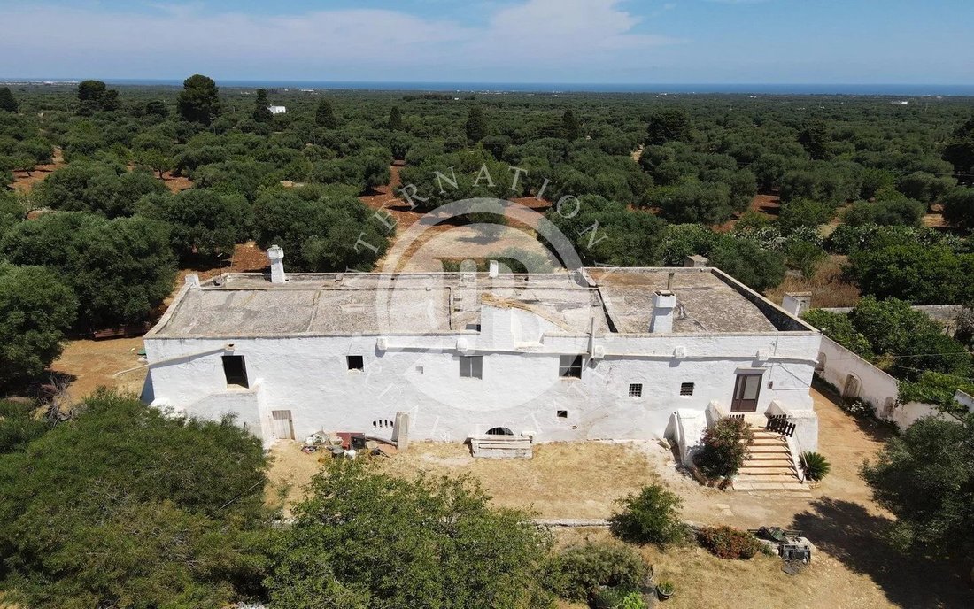 Villa in Selva di Fasano, Apulia, Italy 2 - 14168401
