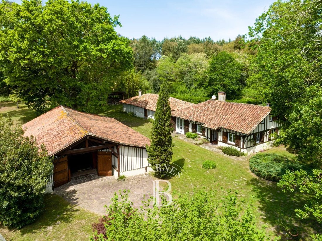 Estate in Seignosse, Nouvelle-Aquitaine, France 2 - 12925098
