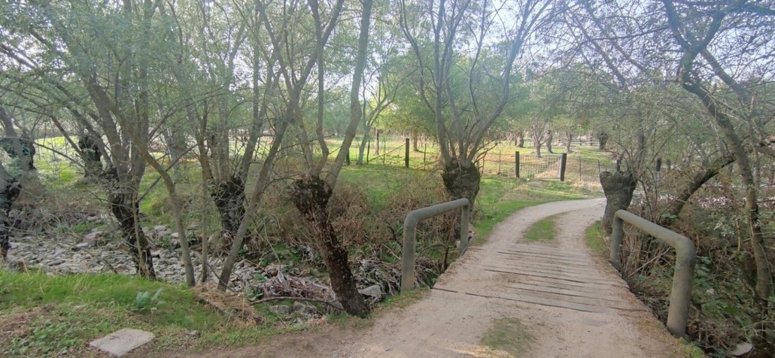 Country House in Galapagar, Community of Madrid, Spain 4 - 15192113