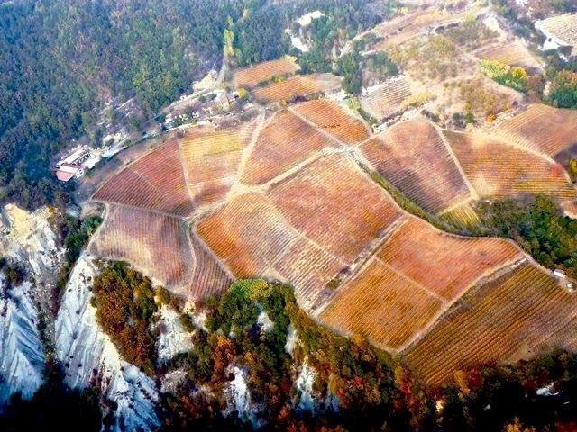 Farm Ranch in Serole, Piedmont, Italy 2 - 12850174