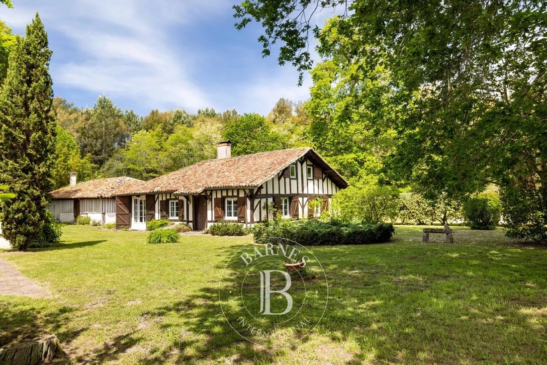 Estate in Seignosse, Nouvelle-Aquitaine, France 1 - 12925098