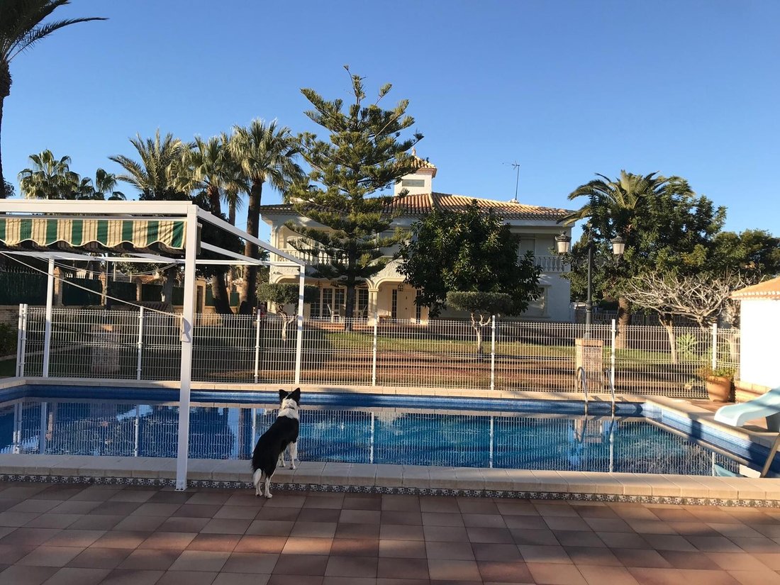 Villa in Playa Flamenca, Orihuela, Valencian Community 1 - 12416949