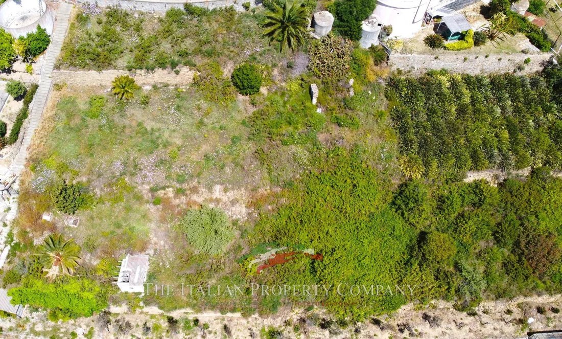 Land in Bussana Vecchia, Sanremo, Liguria 5 - 11479918