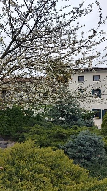 House in Codogne, Veneto, Italy 3 - 14646513