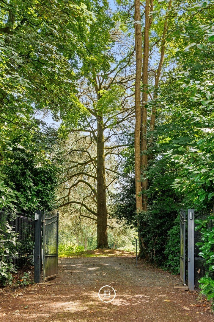 Terlinden Castle: A 17th-Century Dream Awakening in Flanders’ Embrace