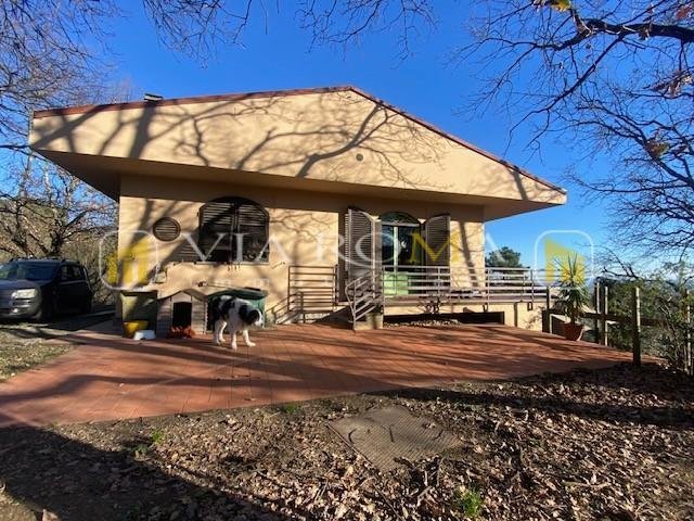 Villa à Zone Moriano - Brancoli, Lucques, Toscane 2 - 13739787