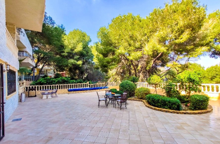 Villa in Dehesa de Campoamor, Orihuela, Valencian Community 2 - 12417053