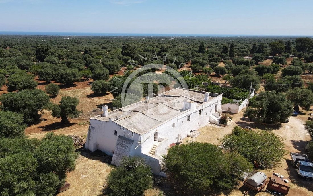 Villa in Selva di Fasano, Apulia, Italy 3 - 14168401