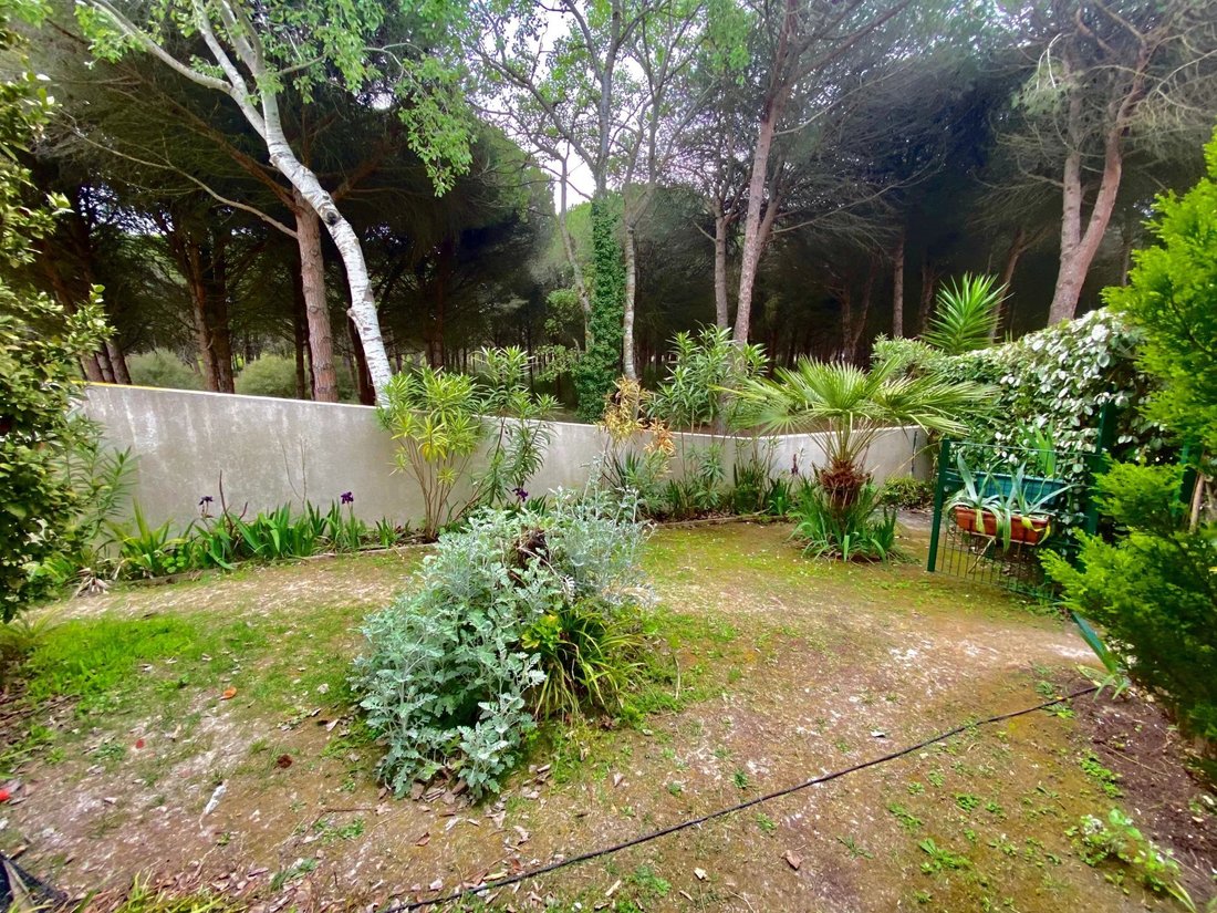 House in Ombree d'Anjou, Pays de la Loire, France 3 - 12727088