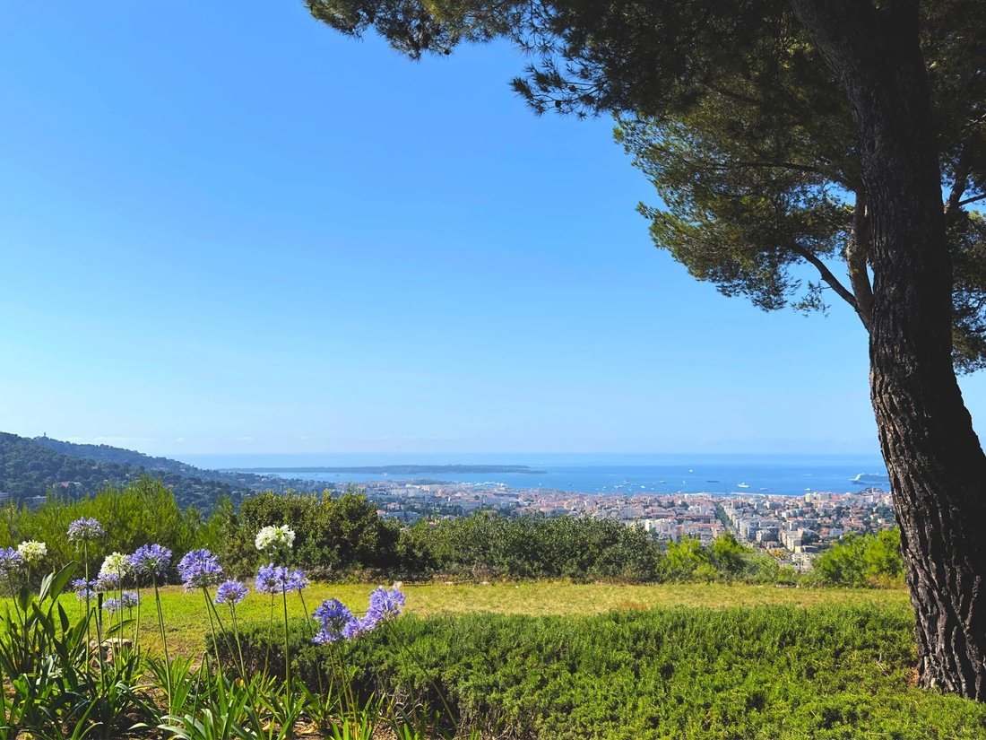 Villa in Collines, Le Cannet, France 2 - 14513176
