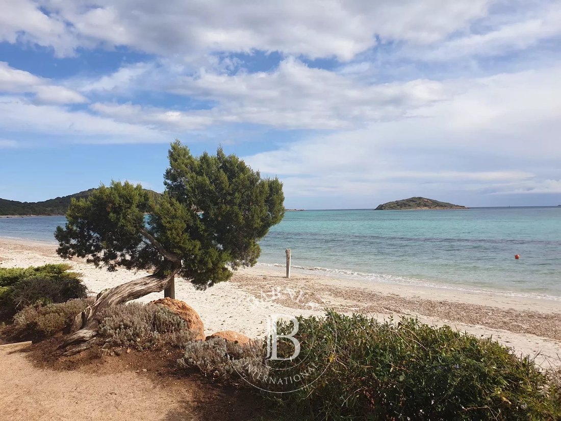 Land in Sainte-Lucie-de-Porto-Vecchio, Corsica, France 2 - 12876857
