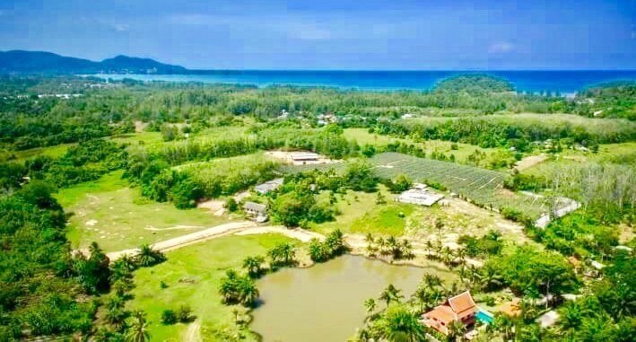 Land in Choeng Thale, Phuket, Thailand 2 - 12162448